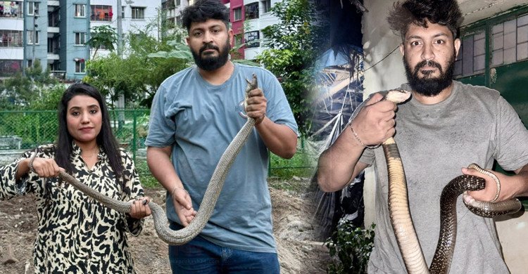 ঢাকার বাসাবাড়িতে বিষধর সাপের আতঙ্ক, সাড়ে তিন মাসে উদ্ধার ৩২১টি সাপ